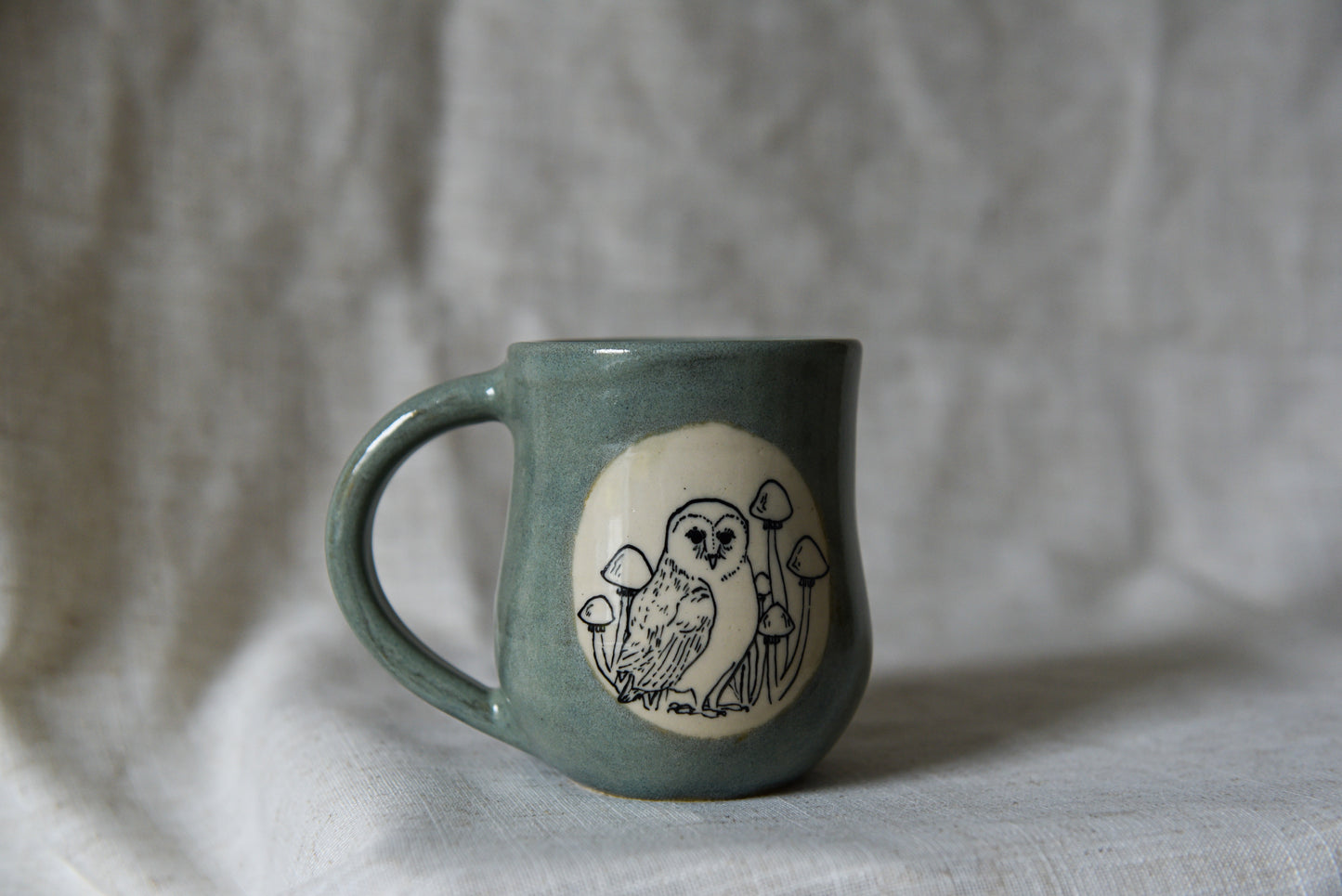 Owls and Mushrooms Mug