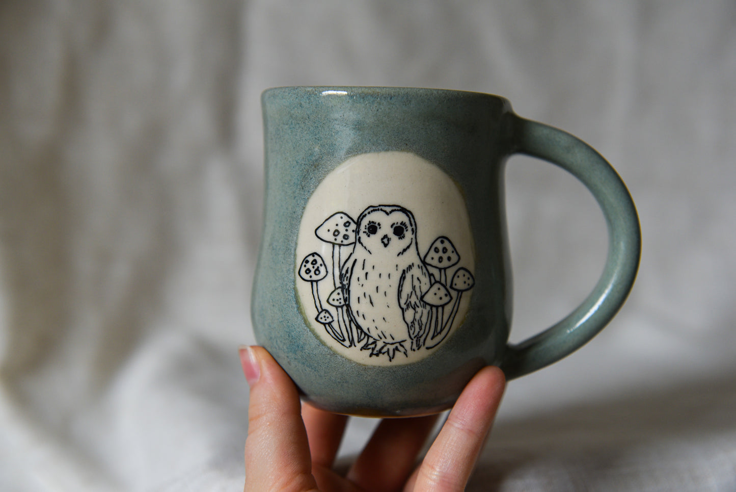 Owls and Mushrooms Mug